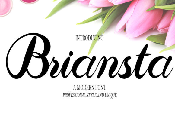 Briansta: A Romantic Handwritten Font