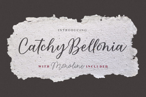 Catchy Bellonia: A Script Amp Review