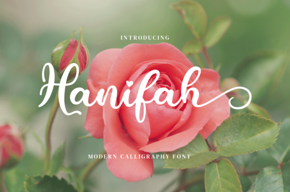 Hanifah: A Flowing Script for Creative Brands