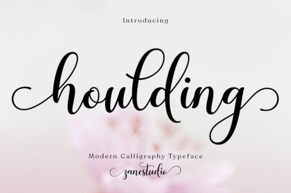 Houlding: A Graceful Script Font