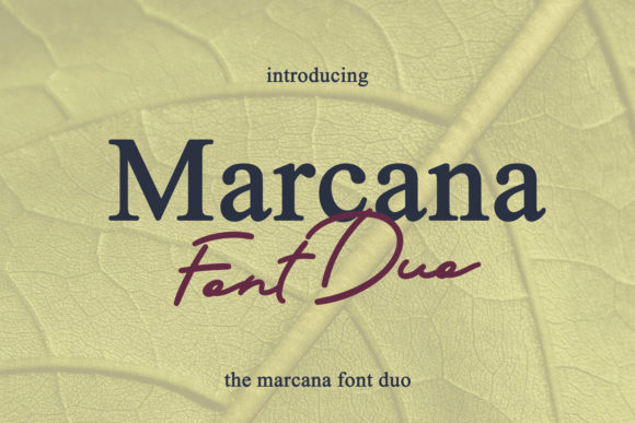 Marcana Font: Elegant Script for Web Design